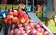 The Farmers Market On Manning - thumb 0