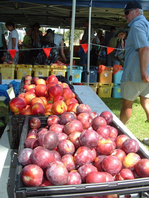 The Farmers Market On Manning - Kempsey Accommodation 0