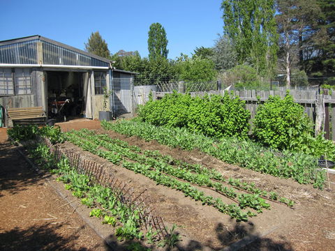All Season Cold Climate Organic Vegetable Growing - Kempsey Accommodation 1