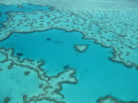 Australian Superyacht Rendezvous 2020 - Great Barrier Reef Edition - Kempsey Accommodation 2
