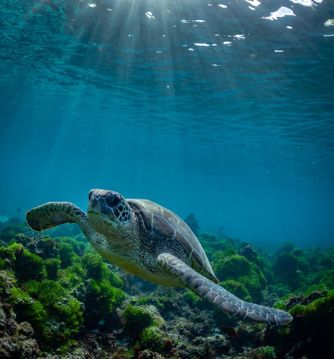 Beach And Seascape Photography Tour - Kempsey Accommodation 0