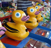 Casino Agricultural Show - Kempsey Accommodation