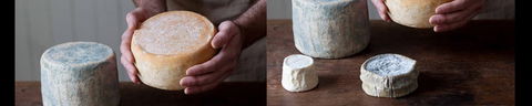 Cheese Making Basics Class - Kempsey Accommodation 0