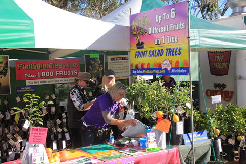 CRT FarmFest - Kempsey Accommodation 2
