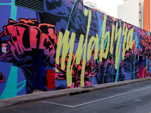 Darwin Street Art Festival - Kempsey Accommodation 1