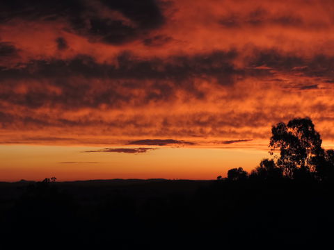 Father's Day At Cottontail Wines - Kempsey Accommodation 0