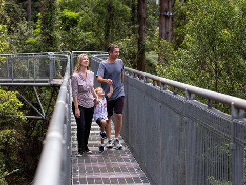 Get Back To Nature These July School Holidays! - Kempsey Accommodation 1