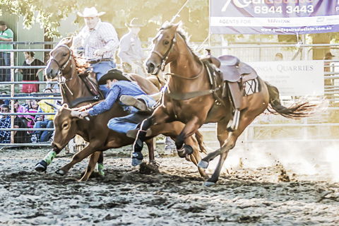 Gundagai Rodeo - Kempsey Accommodation 0