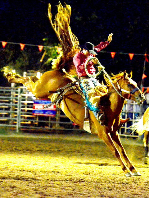 Gundagai Rodeo - Kempsey Accommodation 1