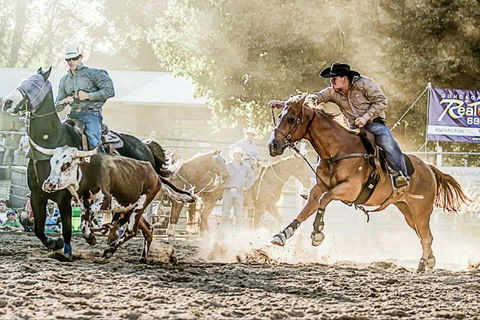 Gundagai Rodeo - Kempsey Accommodation 2