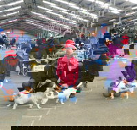 Hamilton Jack Russell Terrier and Hunting Dog Show