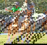 Land Rover Polo in the City - Kempsey Accommodation