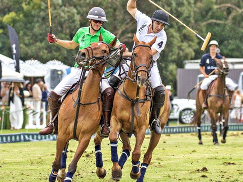 Land Rover Polo In The City - Kempsey Accommodation 0