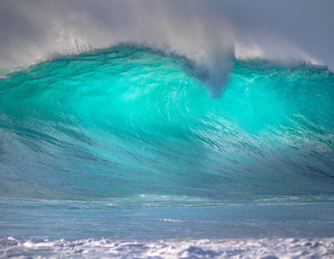 Landscape And Wildlife Photography Tour - Kempsey Accommodation 0