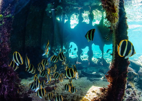 Landscape And Wildlife Photography Tour - Kempsey Accommodation 1