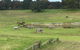 Mount Gambier And District Pony Club Horse Trials 2020 - thumb 0