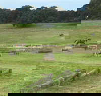Mount Gambier and District Pony Club Horse Trials 2020 - Kempsey Accommodation