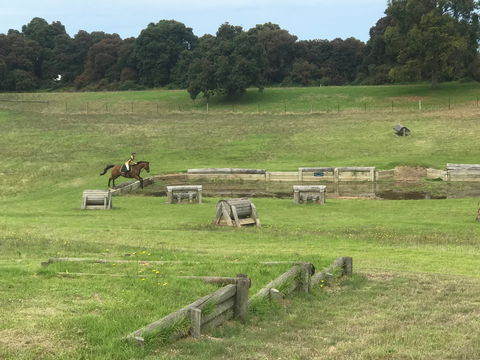 Mount Gambier And District Pony Club Horse Trials 2020 - Kempsey Accommodation 0
