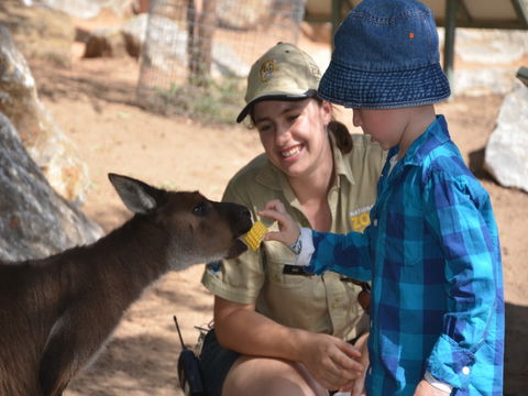 Mums And Cubs! And Dads Too! - Kempsey Accommodation 0