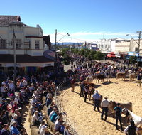 NCMC Casino Beef Week - Kempsey Accommodation