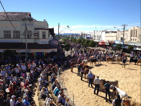 NCMC Casino Beef Week - Kempsey Accommodation 0