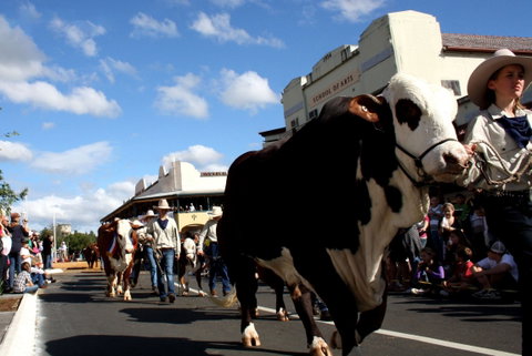 NCMC Casino Beef Week - Kempsey Accommodation 1