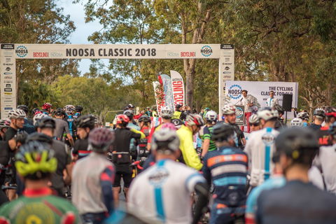 Noosa Classic - Kempsey Accommodation 1