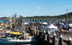Ocean Harvest Festival - thumb 0