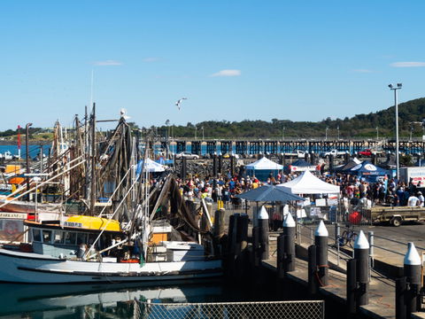 Ocean Harvest Festival - Kempsey Accommodation 0