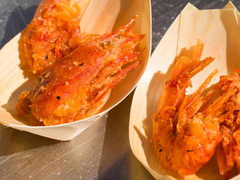 Ocean Harvest Festival - Kempsey Accommodation 1