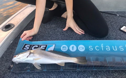 SCF Research And Sustainability Competition - Kempsey Accommodation 1