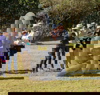 Sculpture for Clyde - Outdoor Exhibition - Kempsey Accommodation