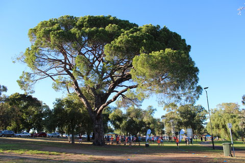Wagga Parkrun - Kempsey Accommodation 1