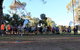 Wagga Parkrun - thumb 2