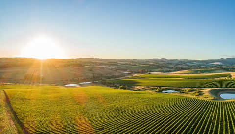 Wine And Food At Altitude - Kempsey Accommodation 0