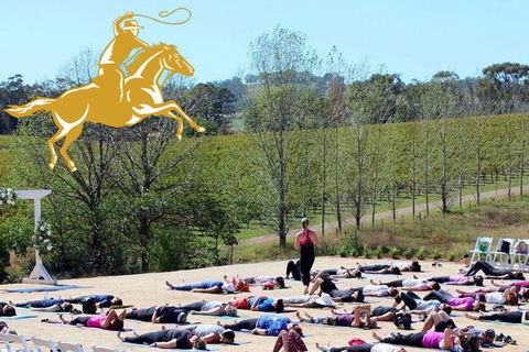 Yoga In The Vines - Kempsey Accommodation 0