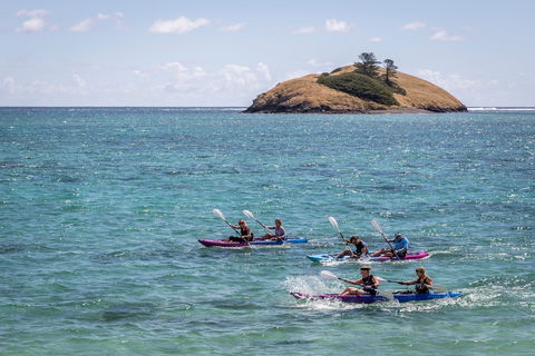 Summer Festival Of  Lord Howe Island - Kempsey Accommodation 1