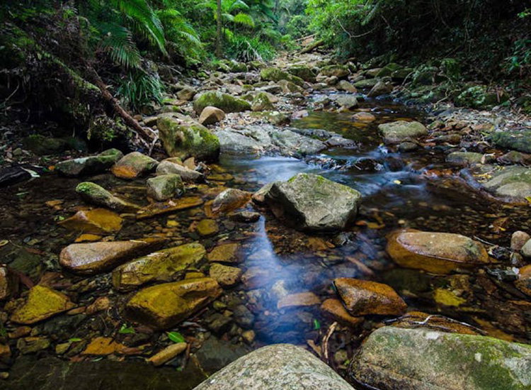 Willi Willi National Park