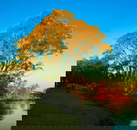 Cadell on the Murray Motel Resort - Kempsey Accommodation