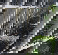 Paradiso Resort Kingscliff - Kempsey Accommodation