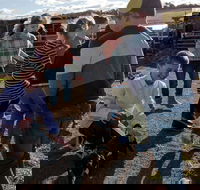 Hunter Valley Resort - Kempsey Accommodation