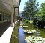 ANU University House Hotel - Kempsey Accommodation