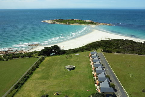 Diamond Island Resort & Bicheno Penguin Show - Kempsey Accommodation 0
