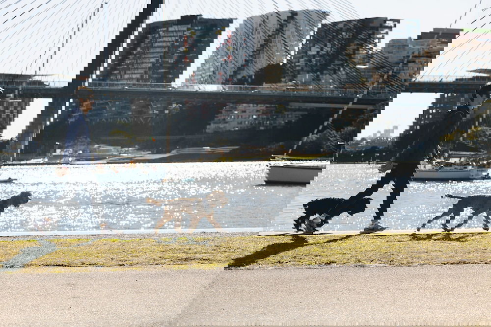 Glebe NSW Kempsey Accommodation