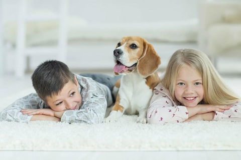 BOUTIQUE STAYS - Central Park - Kempsey Accommodation 3