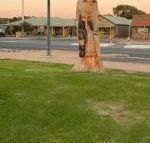 Lake Albert Motel - Kempsey Accommodation