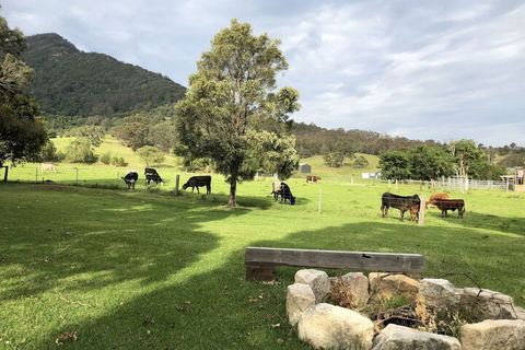 ARCADIA - The Barn Cottage & Rosehill Cottage - Kempsey Accommodation 3