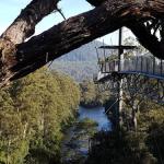 Tahune Air Walk Lodge - Kempsey Accommodation 0