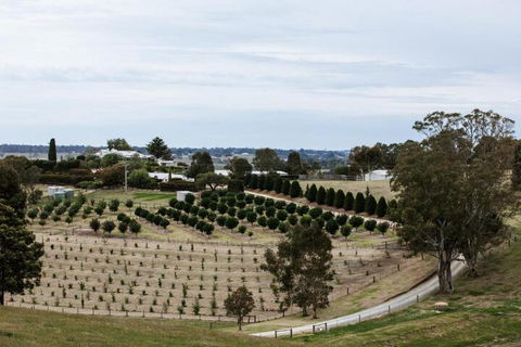 Rivendell East Gippsland - Kempsey Accommodation 6