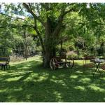 Bielbys Hideaway - Kempsey Accommodation 0